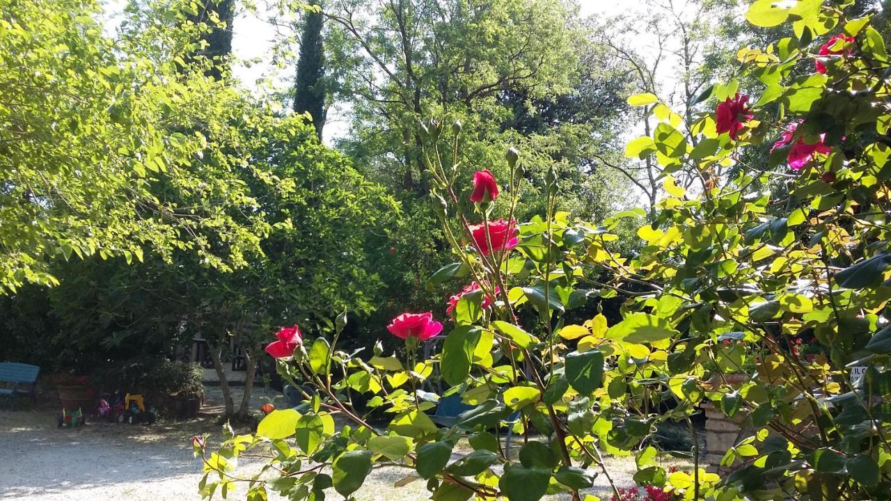 Agriturismo Alle Rose 볼테라 외부 사진