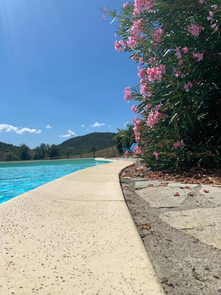 Agriturismo Alle Rose 볼테라 외부 사진