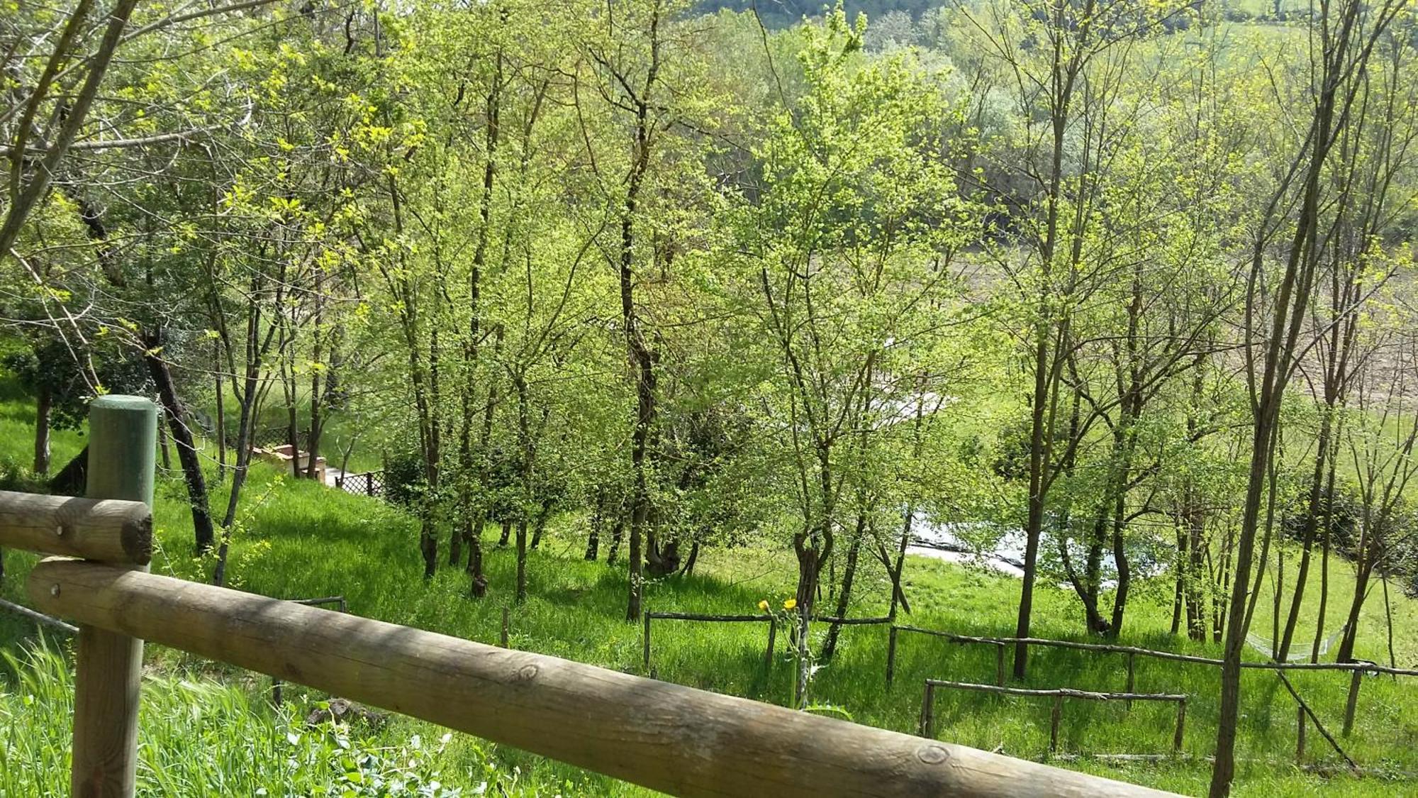 Agriturismo Alle Rose 볼테라 외부 사진